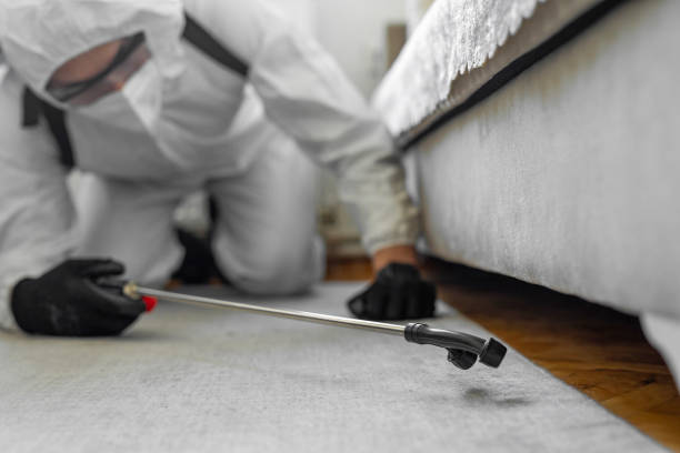 Professional Termite Control technician working in Lamont, CA
