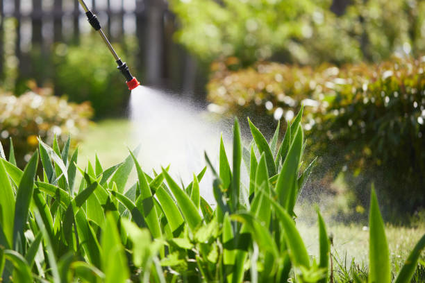 24/7 Emergency Termite Control experts in Lamont, CA